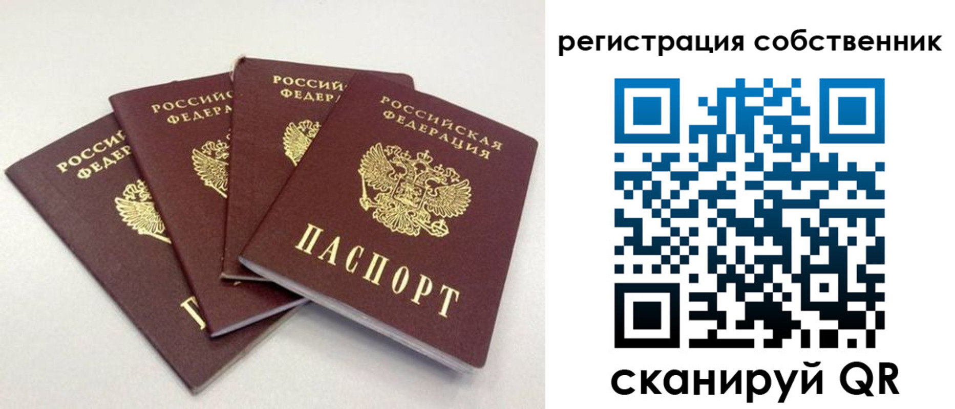 прописка для школы в Анапе